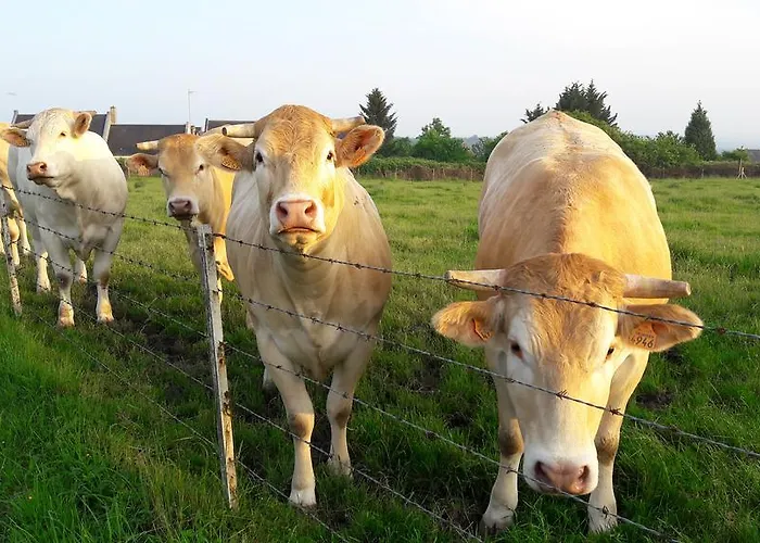 4 Joliette Séjour à la campagne *
